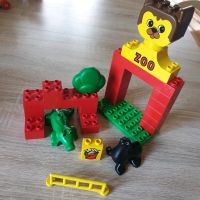 LEGO DUPLO Set von Zoo Niedersachsen - Leer (Ostfriesland) Vorschau