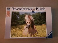 Puzzle Pferd im Rapsfeld von Ravensburger 500 Teile Nordrhein-Westfalen - Herdecke Vorschau