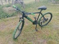 Mountainbike "KS Cycling" 26 Zoll Herren Bayern - Nagel Vorschau