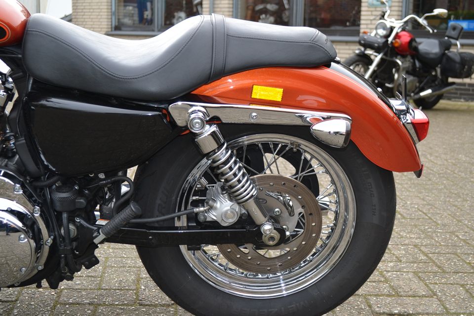 Harley Davidson Sportster XL1200C Custom in Papenburg