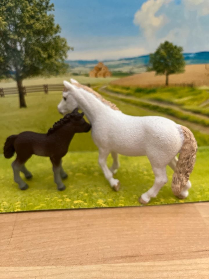 Schleich Dartmoor Pony mit Fohlen in Dresden