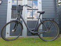 Gudereit Comfort 7.0 Fahrrad 28 Zoll in top Zustand Niedersachsen - Löningen Vorschau