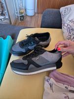 Pepe jeans sneakers 41 Aubing-Lochhausen-Langwied - Aubing Vorschau