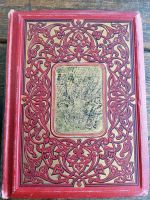 Schönes altes Buch von 1879: Pharus am Meere des Lebens Baden-Württemberg - Bermatingen Vorschau