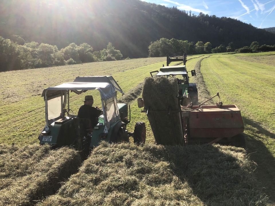 Landwirtschaftliche Dienstleistungen in Dorfprozelten