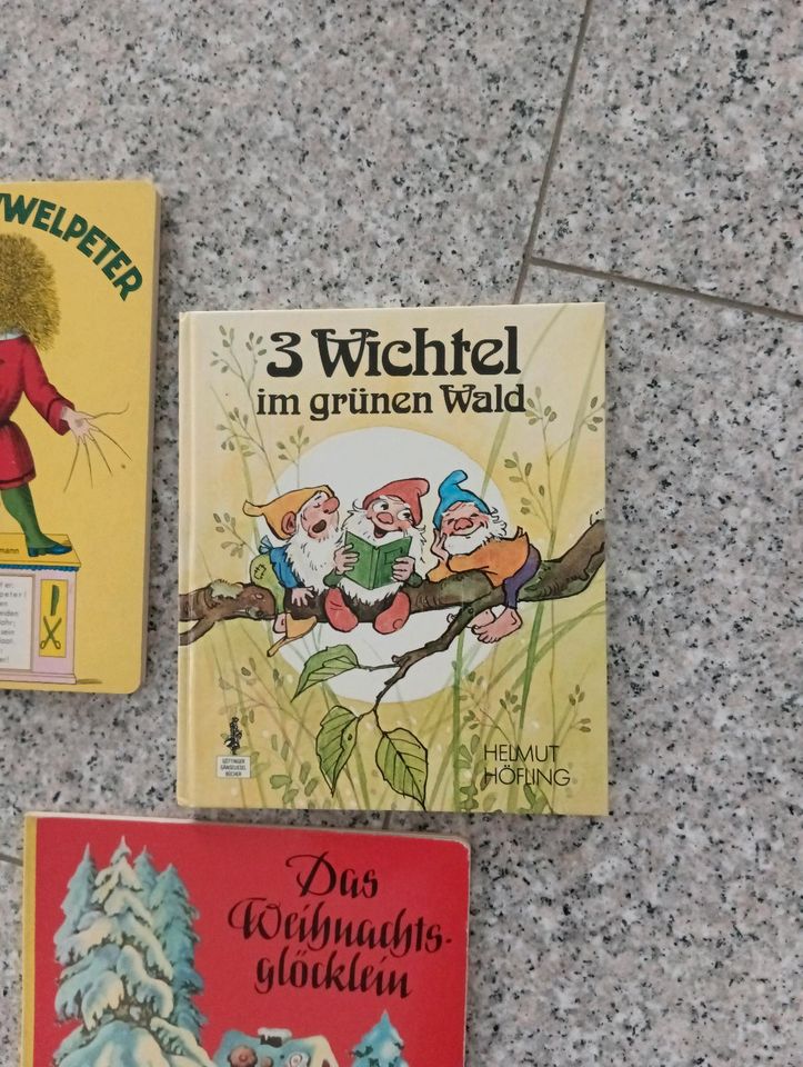 Buch 3 Wichtel im grünen Wald in Waldachtal