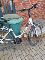 Pegasus Elektrofahrrad Nordrhein-Westfalen - Herne Vorschau