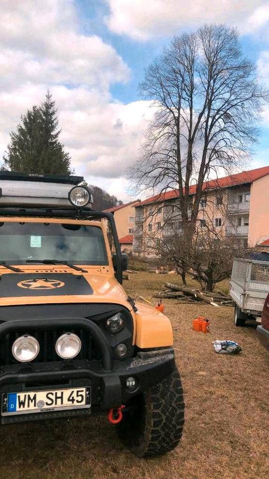 Baumfällung, Baumkletterer, Problemfällung, Baum Abtragen in Peißenberg