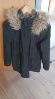 Hollister Winterjacke Baden-Württemberg - Bad Wurzach Vorschau