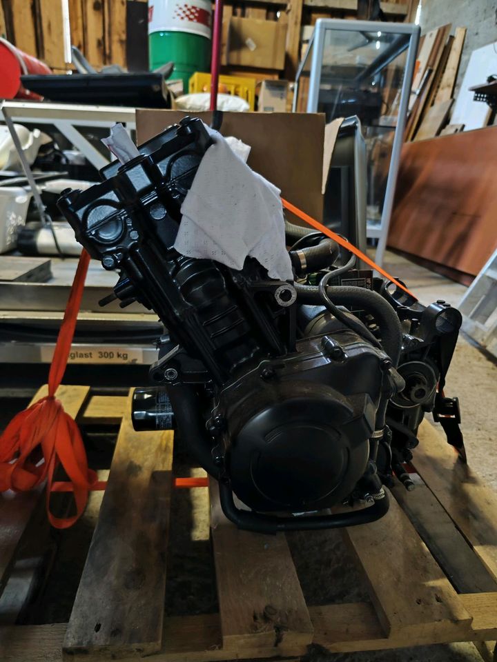 Honda CBR 900 SC33 Fireblade Motor in Sulz