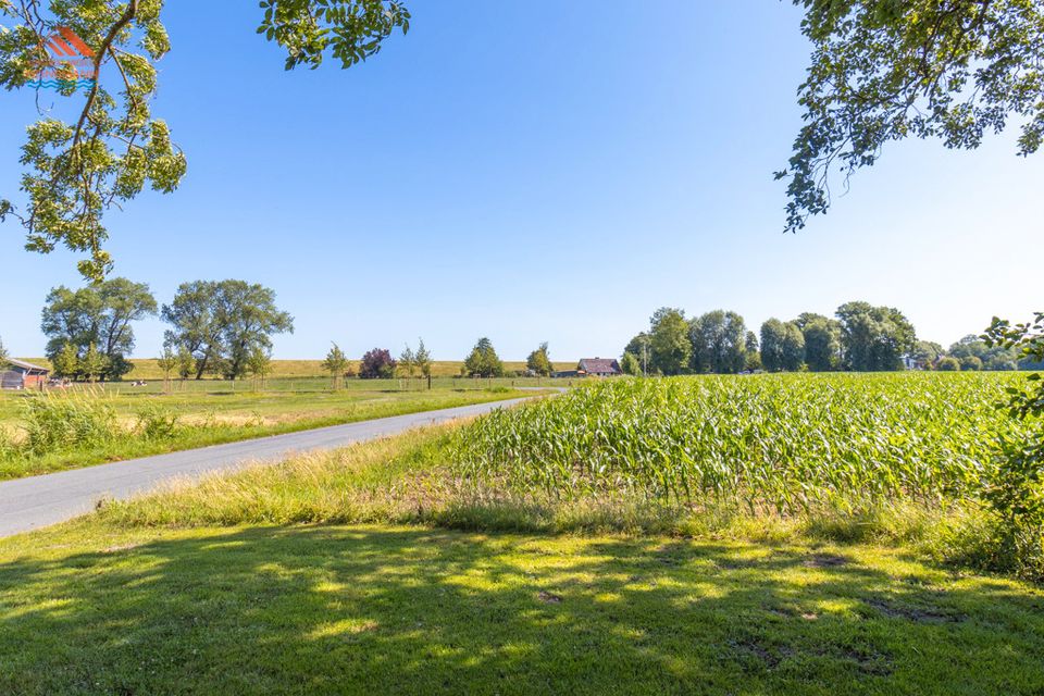 Zweifamilienhaus auf Resthof am Elbdeich + möglichem Pachtland - ruhige Lage in Neuhaus