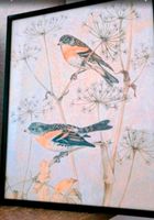 Wandbilder... Bilder von Vögeln Nordrhein-Westfalen - Engelskirchen Vorschau