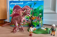 Playmobil 4174 Spinosaurus mit Dino-Nest, Dinosaurier, OVP Hamburg-Nord - Hamburg Uhlenhorst Vorschau