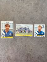 Sammelbilder Schalke PANINI Baden-Württemberg - Ilsfeld Vorschau