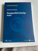 Heiderhoff/Skamel, Zwangsvollstreckungsrecht Hamburg-Mitte - Hamburg Neustadt Vorschau