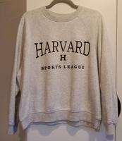 Pullover HARVARD hellgrau Baden-Württemberg - Sulz Vorschau
