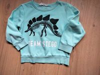 Dino Sweatshirt H&M Jungen Gr.110 türkis Sachsen-Anhalt - Radegast Vorschau