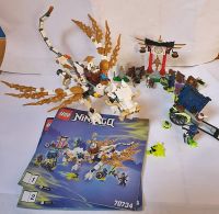 LEGO NINJAGO # 70734 - Meister Wu's Drache Hessen - Birkenau Vorschau