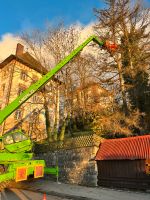 Rodungen/Fällkran/Problembaumfällung/Fällungen Bayern - Dinkelsbuehl Vorschau