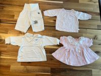 Gr. 50, 50/56, 56  Shirt/Pullover, Hose, Kleid Nordrhein-Westfalen - Krefeld Vorschau