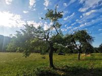 Solawi, Farm Rebellion, regenerative Landwirtschaft, Permakultur Baden-Württemberg - Heubach Vorschau