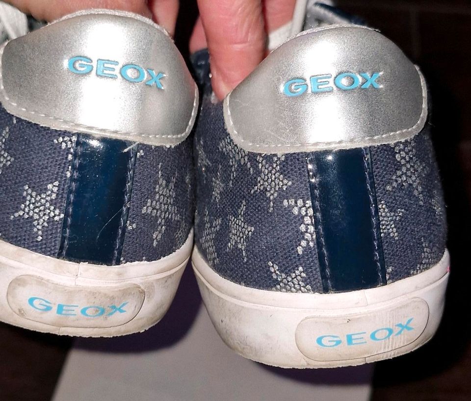 Geox Sneaker in Größe 37 in Unna