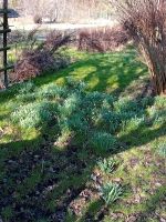 Eigentumsgarten kaufen oder mieten in Braunsbedra Sachsen - Markranstädt Vorschau