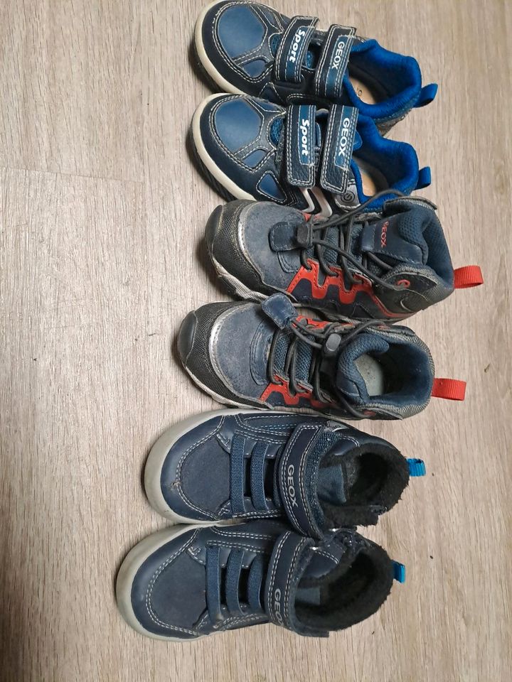 3 Paar Geox Schuhe Größe 24 für  KinderKinderschuhe in Kappel-Grafenhausen