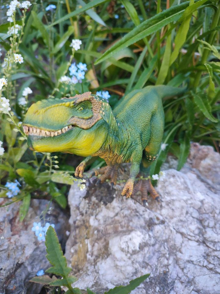 Schleich Drachen - Schleich Dinosaurier Dino Drachen in Siek