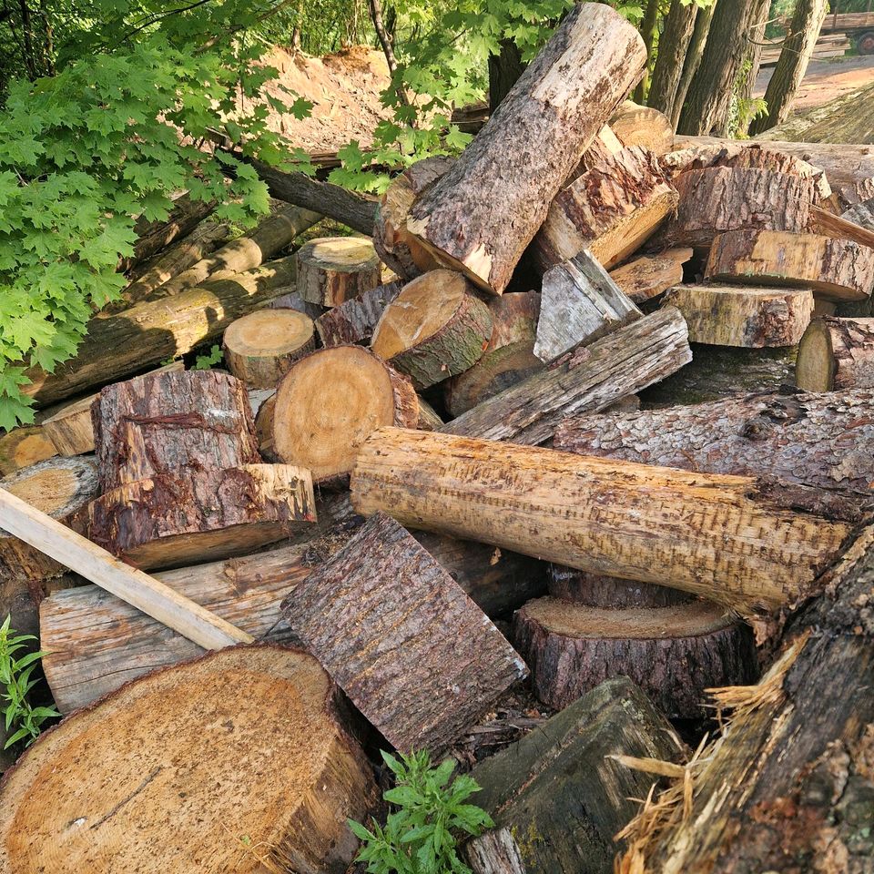 Brennholz zu verkaufen in Bad Essen