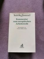 Kommentar zum Europäischen Arbeitsrecht 2016 Dresden - Äußere Neustadt Vorschau