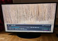 Fernseher Samsung UE46EH500+Receiver Kathrein Nordrhein-Westfalen - Solingen Vorschau