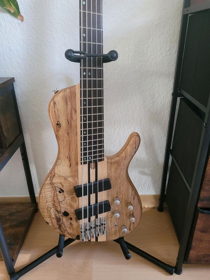 Cort A5 SCMS 5 Saiter Bass in Oldenburg