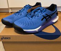 Asics Gel Resolution 9 45 *NEU* Tennisschuhe Allcourt Leipzig - Leipzig, Zentrum-Nord Vorschau