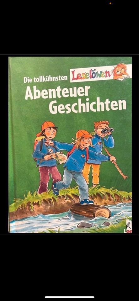 Die tollkühnen Leselöwen Abenteuer Geschichten Buch Kinderbuch in Warendorf