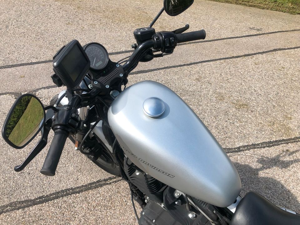 Harley 883 iron in Traunreut