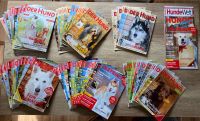 „Der Hund“ Zeitschriften Konvolut - 58 Zeitschriften + 2 Extras! Bayern - Altenstadt an der Waldnaab Vorschau