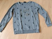 Pullover Katzen Gr. 36 Parchim - Landkreis - Dobin am See Vorschau