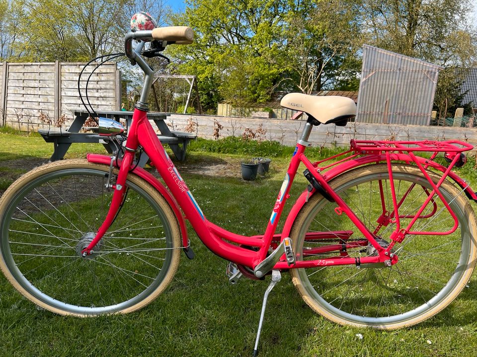 Damen Fahrrad in Joldelund