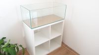 IKEA Kallax Aquarium 76,5x39x39cm 90L OptiWhite 169,99€ Hamburg-Mitte - Hamburg Horn Vorschau