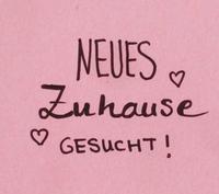 Wir suchen eine Mietwohnung Hessen - Dillenburg Vorschau