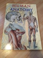 Großer Human Anatomy Anatomie Atlas Medizin Englisch Baden-Württemberg - Ohmden Vorschau