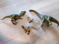 Schleich Dinosaurier zu verkaufen Nordrhein-Westfalen - Höxter Vorschau