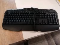 Trust Tastatur mit Beleuchtung Brandenburg - Frankfurt (Oder) Vorschau