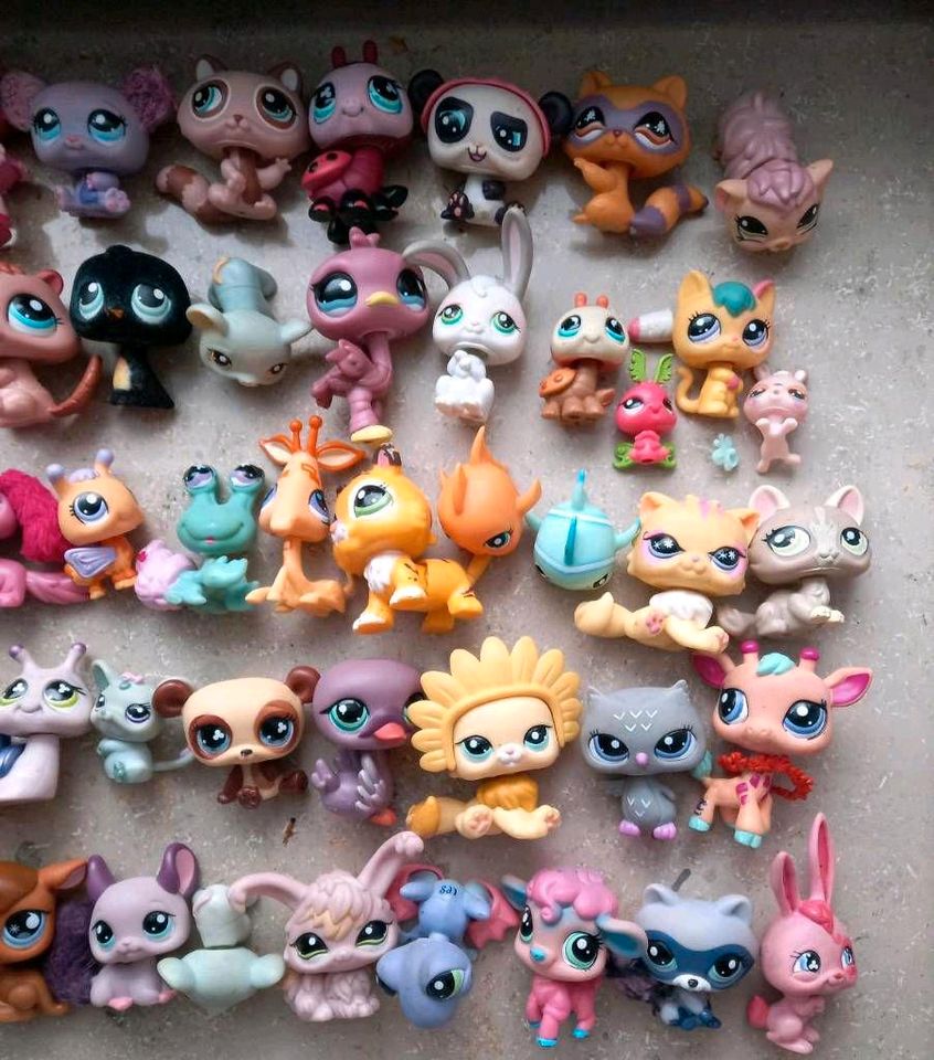 50Lps littlest pet-shop Konvolut Sammlung Set Paket Katzen Pferde in Oberschleißheim