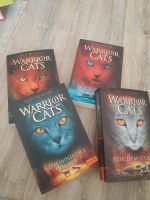 Buch" Warrior Cats" von Erin Hunter Teil 1-4 Schleswig-Holstein - Flintbek Vorschau