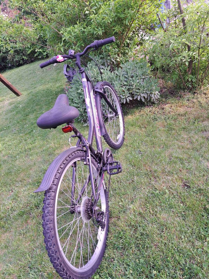 Jugend-Trekking-Damenfahrrad 26 Zoll, 21 Gang in Weiden (Oberpfalz)