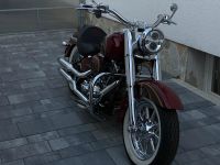 Harley-Davidson CVO Screamin Eagle 110 ❗️keyless go❗️ Hessen - Riedstadt Vorschau