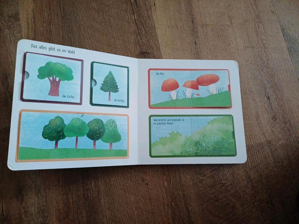 Kinderbuch - Mein kleines Buch vom Wald in Rahden