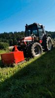 Holzeischlag,Holzrücken, Käferholz,Brennholz Dienstleister Bayern - Neukirchen bei Sulzbach Rosenberg Vorschau